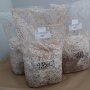 Beech mushroom, white - Hypsizygus tessellatus - Spawn for cultivation on straw for organic growing, AT-BIO-301 Strain Nr.: 102002 Large - for 2 bales of straw