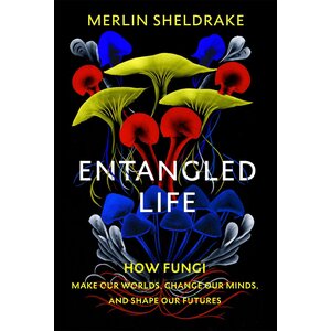 Entangled Life, Merlin Sheldrake, ISBN:  978-1-784-70872-6