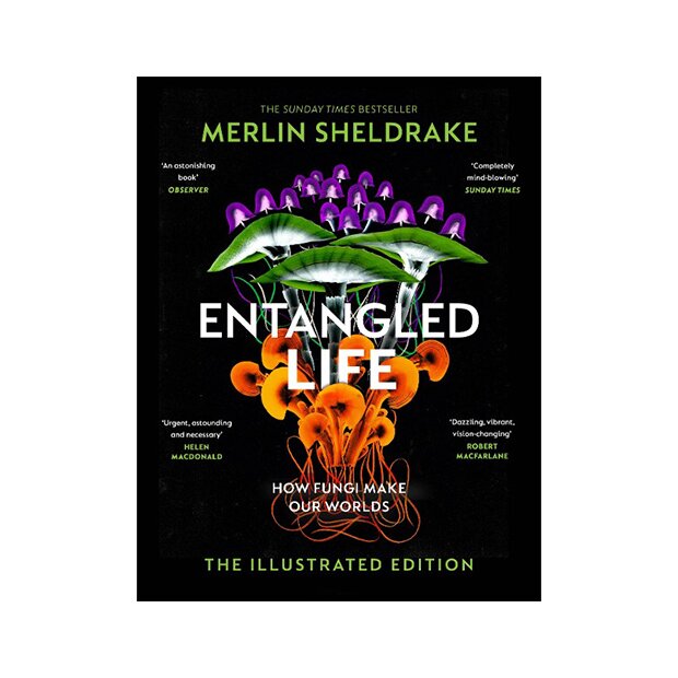 Entangled Life (The Illustrated Edition), Merlin Sheldrake, ISBN: 978-1-84792-773-6