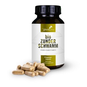 Zunderschwamm Pulver BIO - Fomes fomentarius BIO...