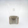 Rye grain substrate