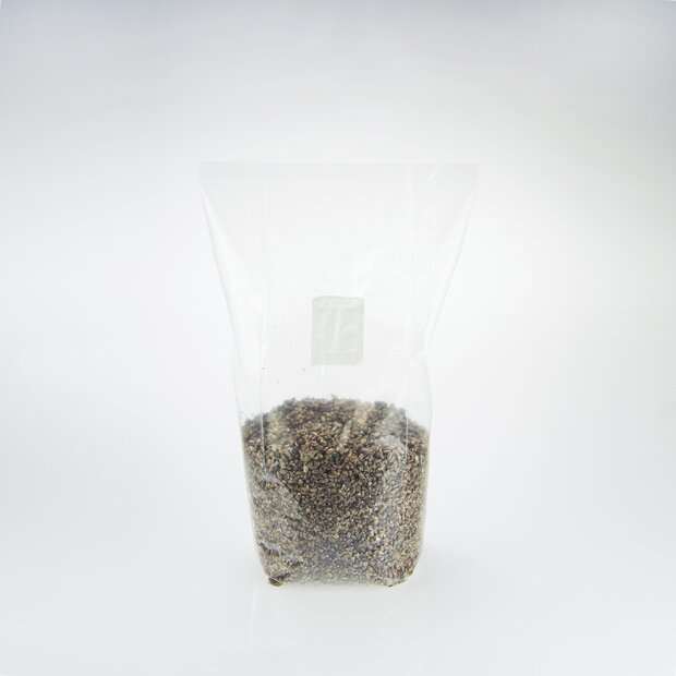 Rye grain substrate 2,5 liter