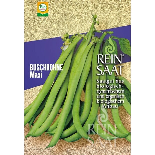 Bush Bean Maxi Seeds from organic Farming