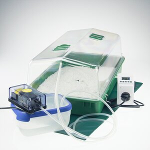 Mushroom Grow-Kit Profi