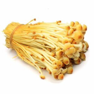 Winter Mushroom (Enokitake) - Flammulina velutipes -...