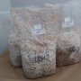 King Oyster Mushroom - Pleurotus eryngii - Sawdust Spawn for organic growing, AT-BIO-301 Strain Nr.: 101002 Large