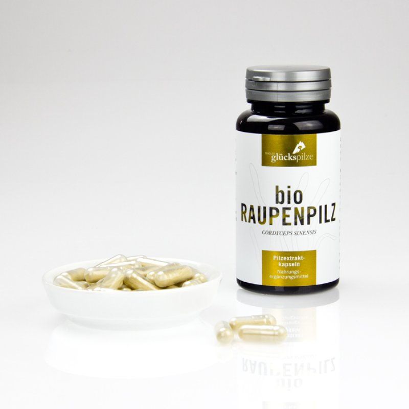 Bio Raupenpilz - Cordyceps sinensis Pilzextraktkapseln 