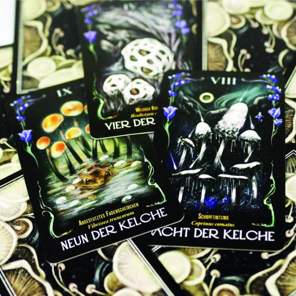 Mitternachtsmagie der Pilze