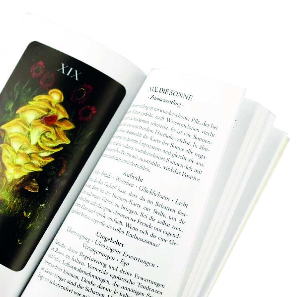 Mitternachtsmagie der Pilze