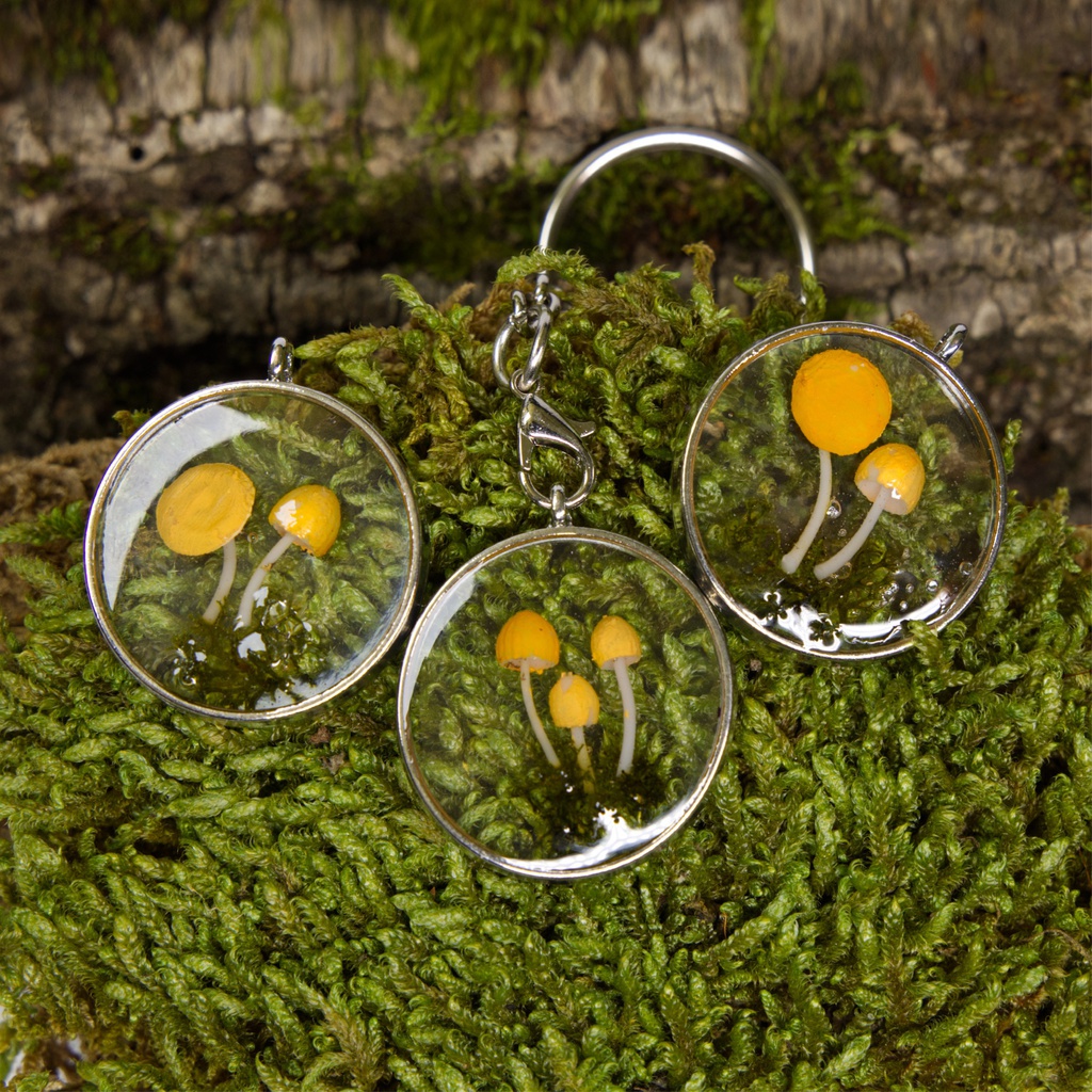 Schlüsselanhänger Psilocybe Azurescens