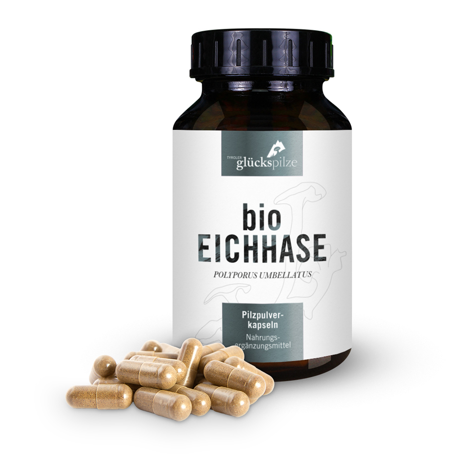 Bio Eichhase (Polyporus umbellatus) Pilzpulverkapseln 120 Stk.
