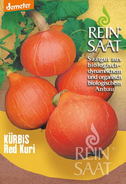 Pumpkin Red Kuri Seeds