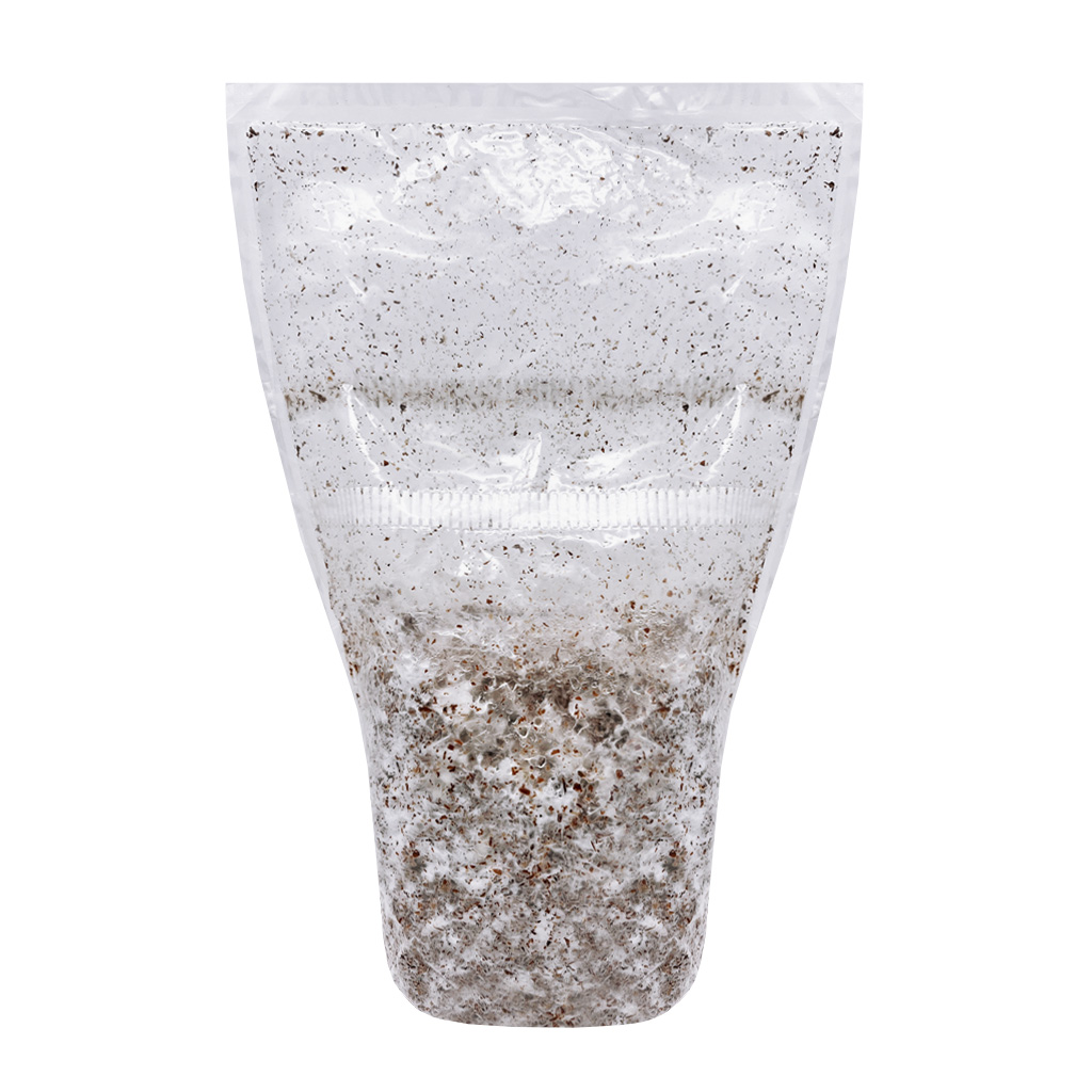 Azurescens Astoria Ossip - Mykorestaurierungsbag