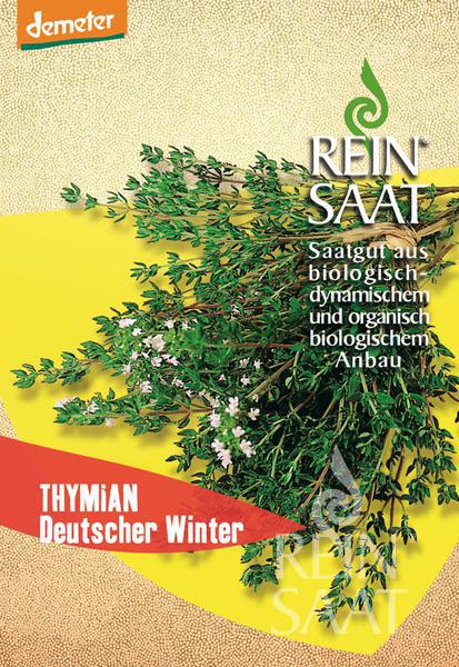 Thymian, Deutscher Winter Saatgut