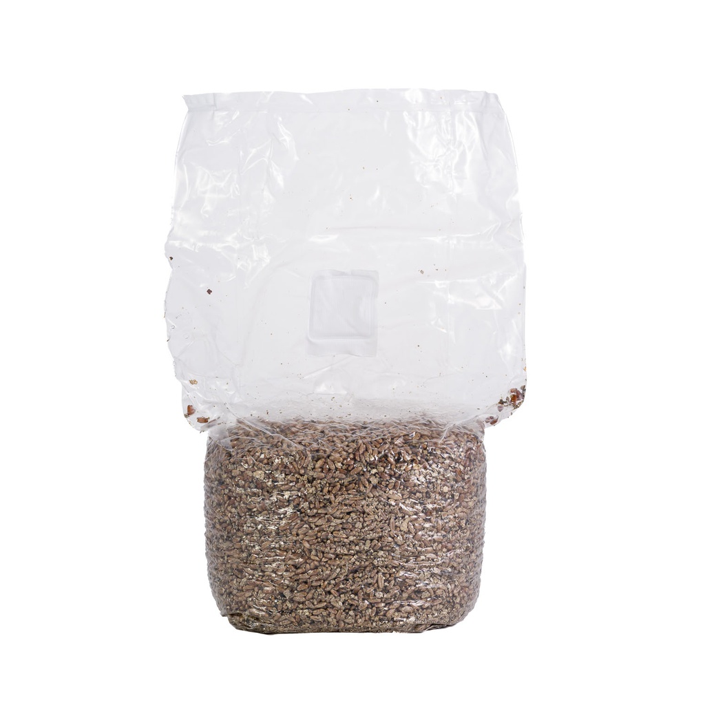 Organic Rye grain substrate