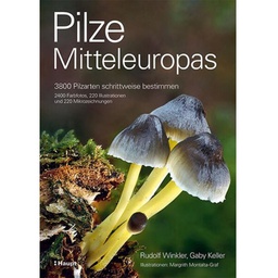 Pilze Mitteleuropas