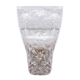 [AN684] Cyanescens Ballard - Mycorestaurationbag