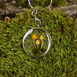 Keychain Psilocybe Azurescens
