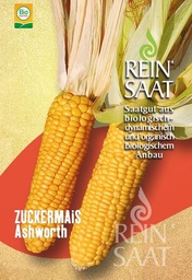 Zuckermais Ashworth Saatgut