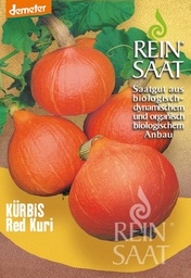 Kürbis Red Kuri Saatgut 