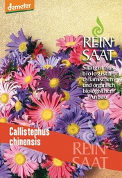  Sommeraster Callistephus chinensis Saatgut