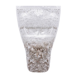 [AN683] Azurescens Astoria Ossip - Mykorestaurierungsbag