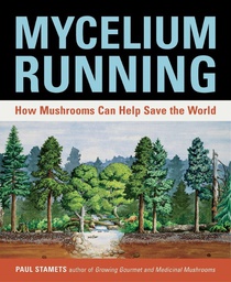 [AN316] Mycelium Running