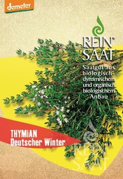 [AN343] Thyme, German Winter Seeds