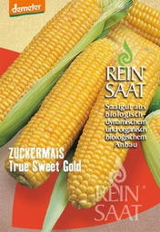 [AN329] Sweet Corn Seeds 